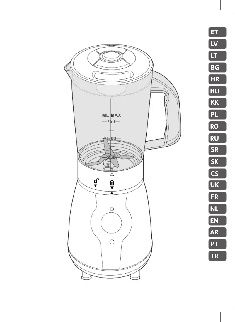 Page 1 of the manual User Manual Tefal Blend & Go