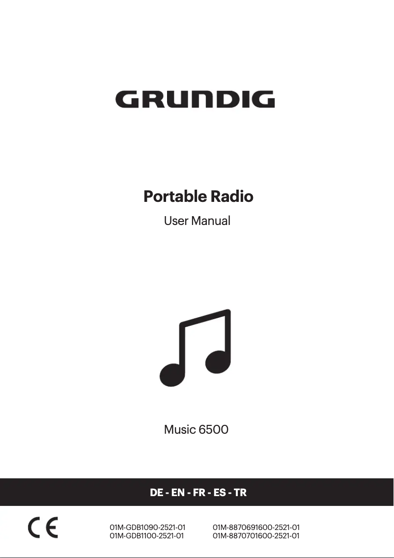 Page 1 of the manual User Manual Grundig Music 6500