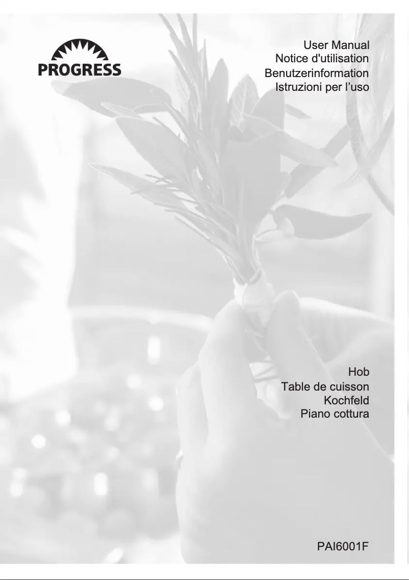 First page image of the manual for PAI6001F