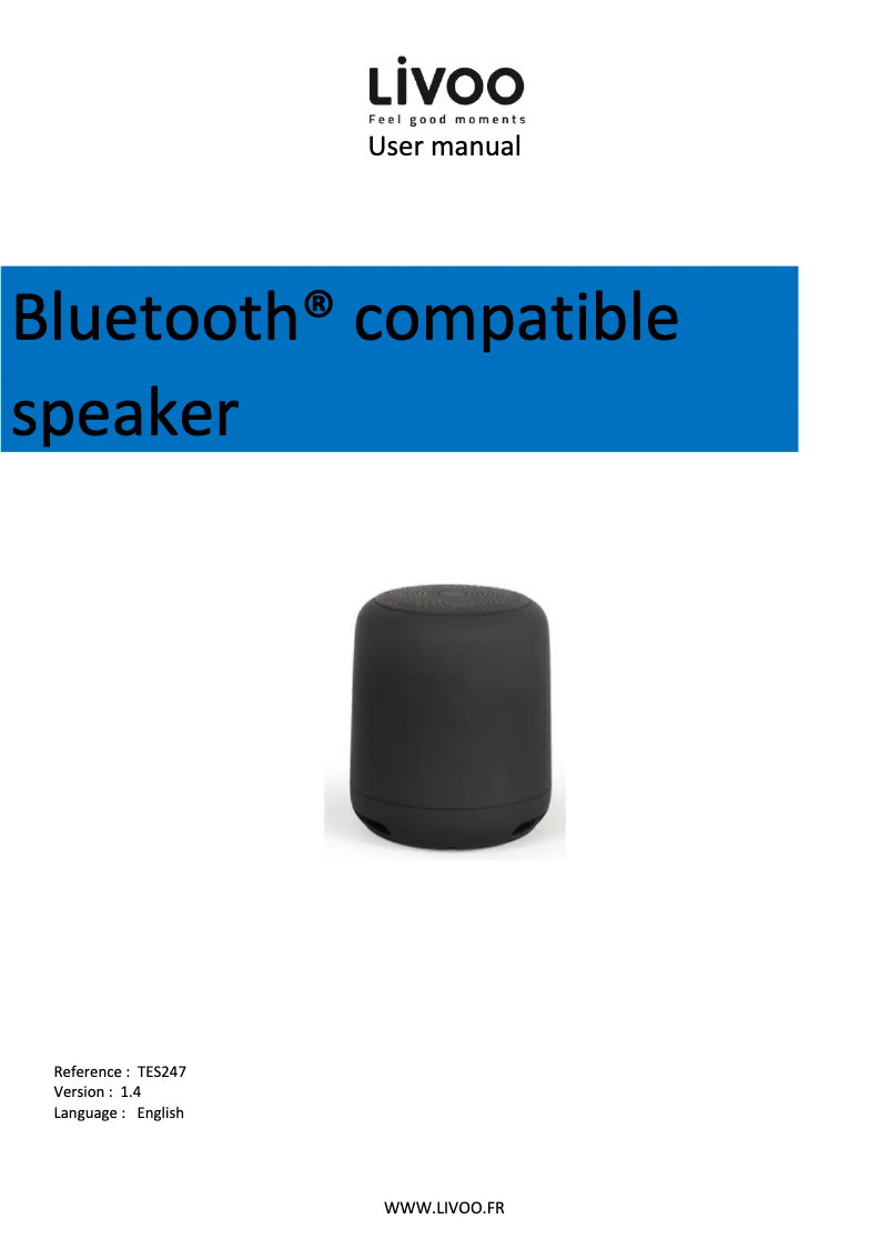 Page 1 of the manual User Manual Livoo TES247