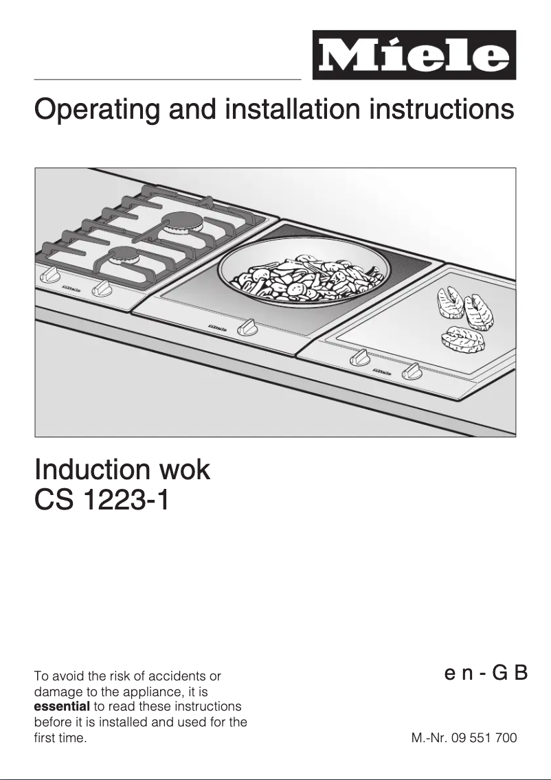 First page image of the manual for CS1223I-1