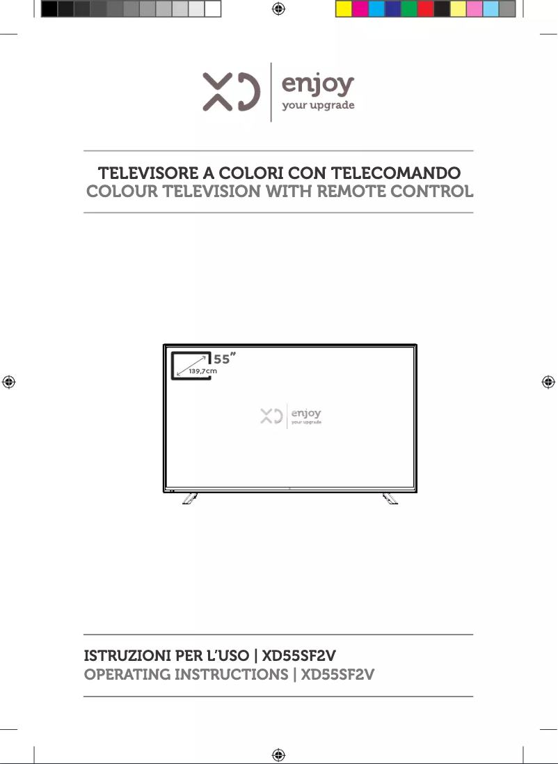 Page 1 of the manual User Manual XD 55SF2V