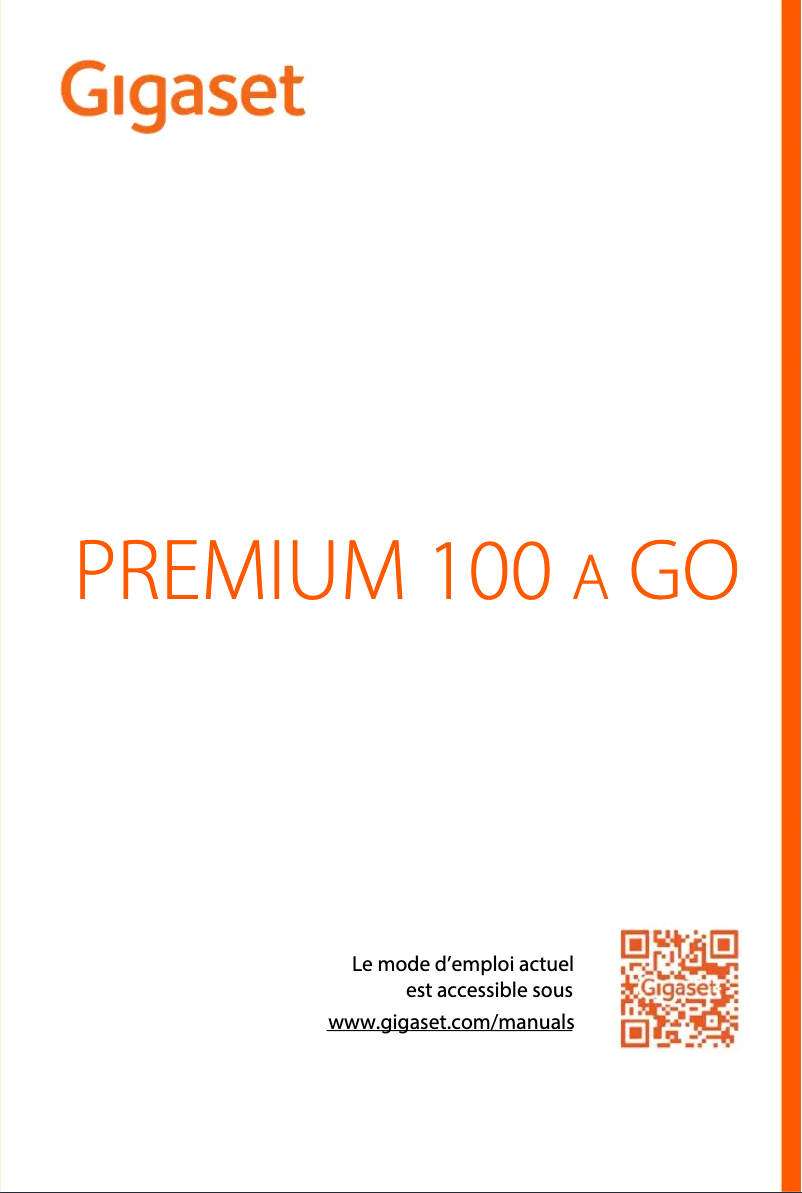 First page image of the manual for Premium 100A GO