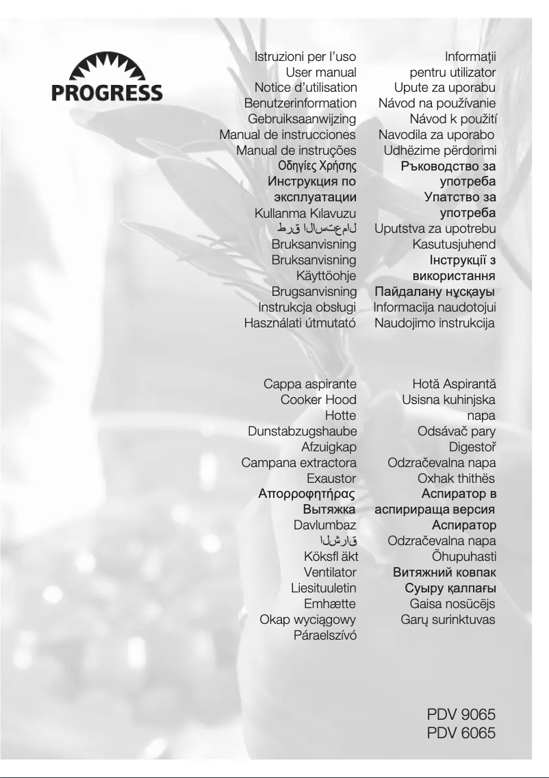 Page 1 of the manual User Manual Progress PDV9065E