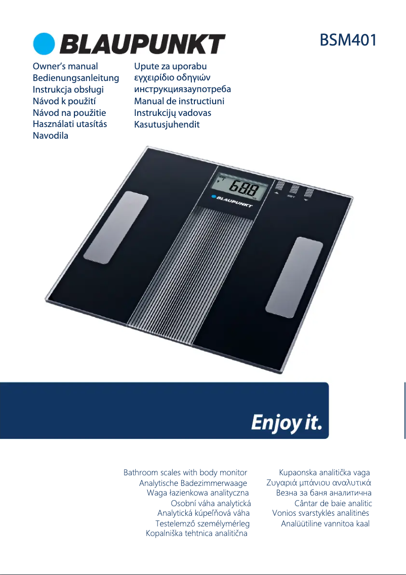 Page 1 of the manual User Manual Blaupunkt BSM401