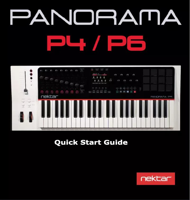 First page image of the manual for Panorama P4