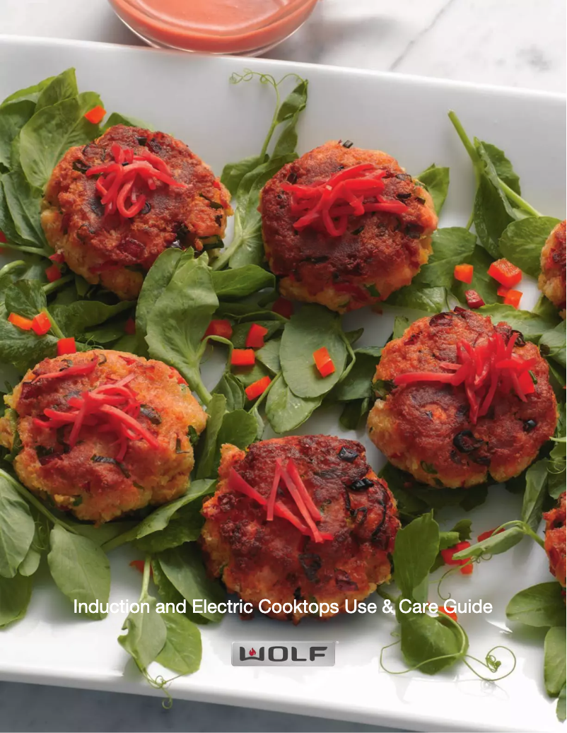 First page image of the manual for CE304TS