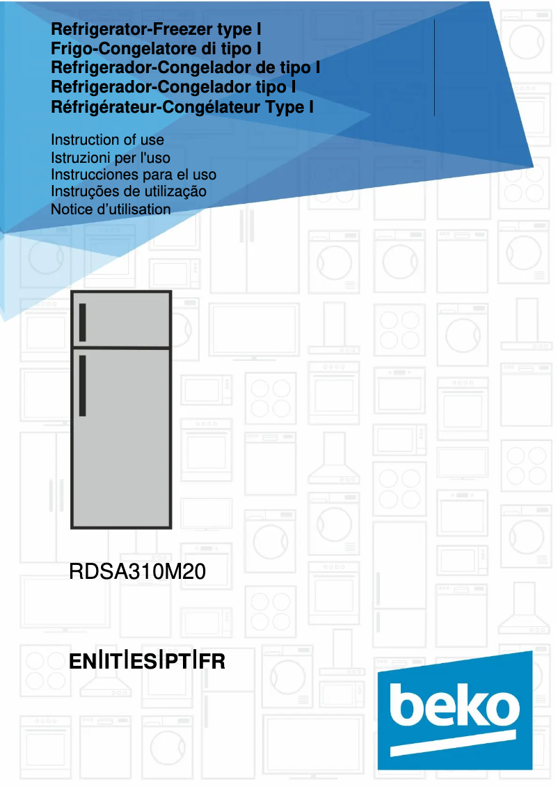 First page image of the manual for RDSA310M20