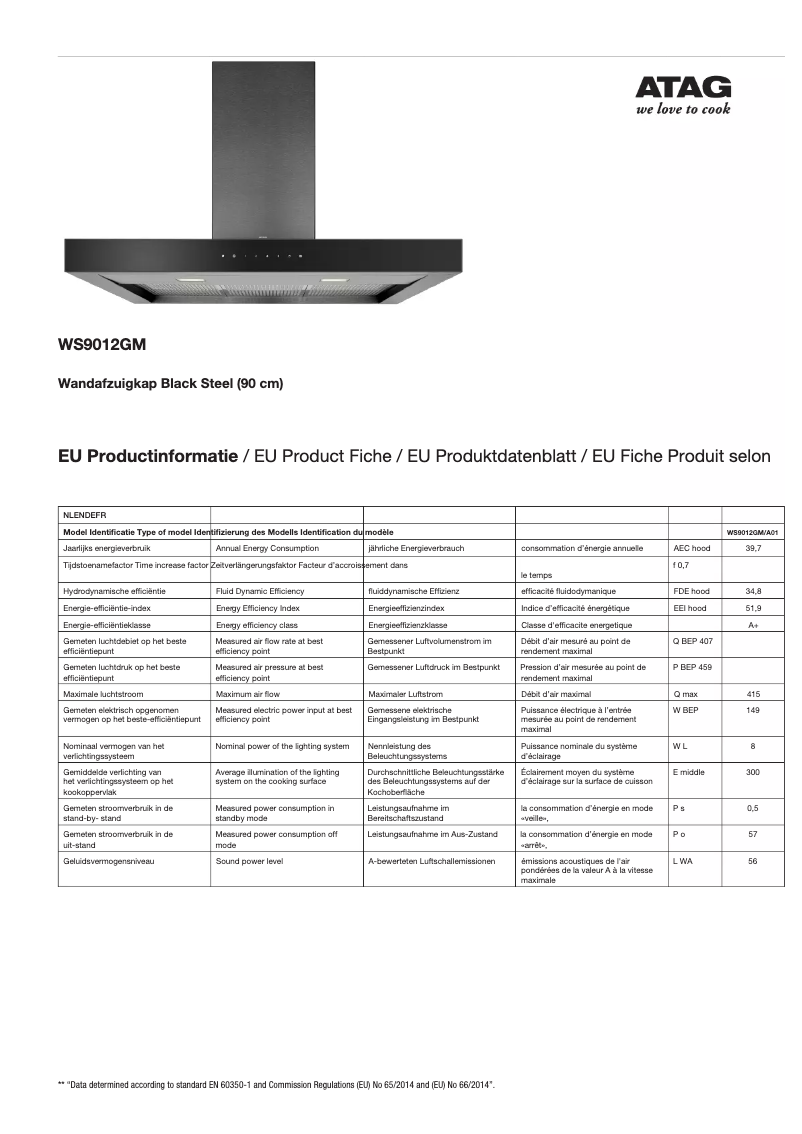 First page image of the manual for WS9012GM