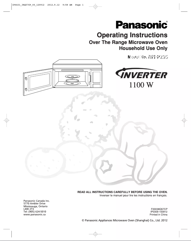 First page image of the manual for NN-P295