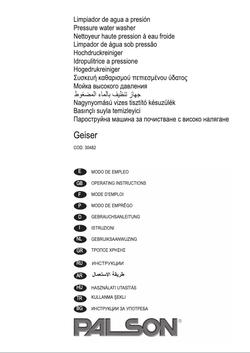 First page image of the manual for Geiser