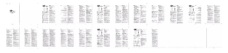 Page 1 of the manual User Manual GP Batteries GP381