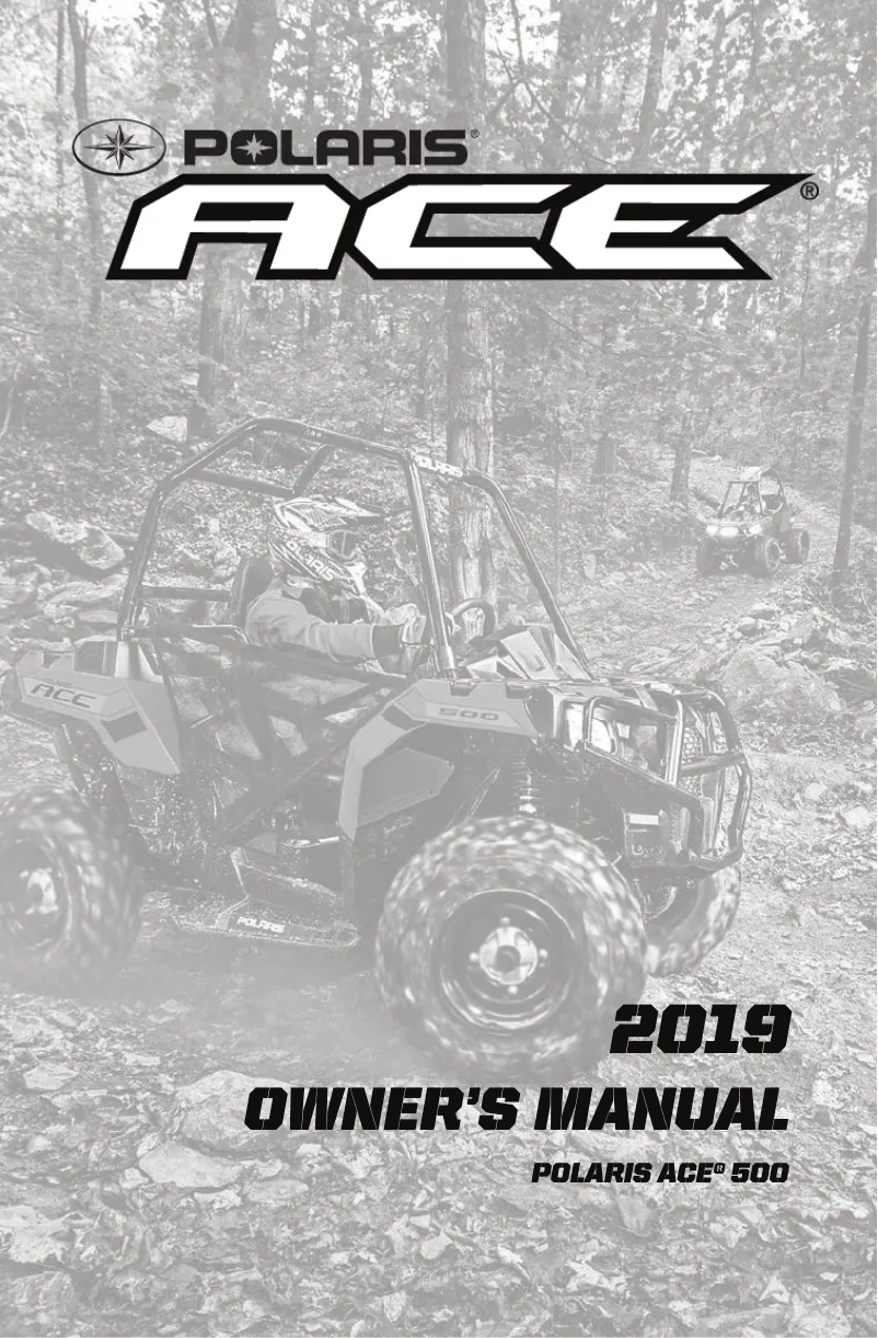 First page image of the manual for Ace 500 (2019)