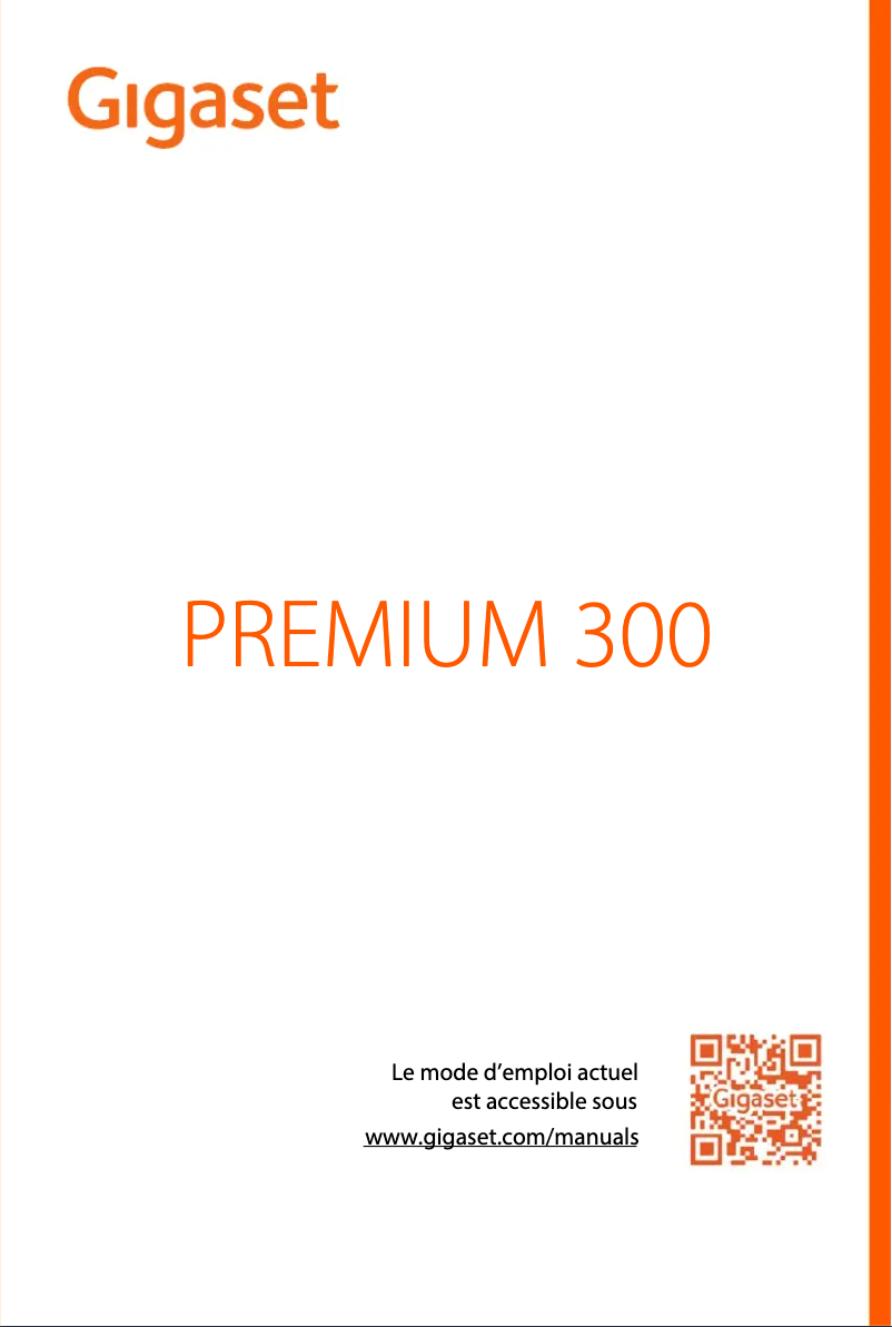 Page 1 of the manual User Manual Gigaset Premium 300
