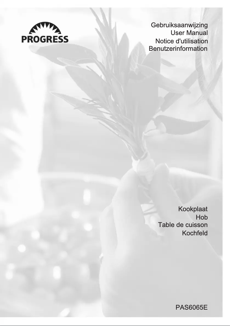 Page 1 of the manual User Manual Progress PAS6065E