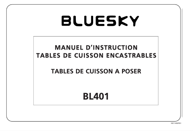 Page 1 of the manual User Manual Bluesky BL 401