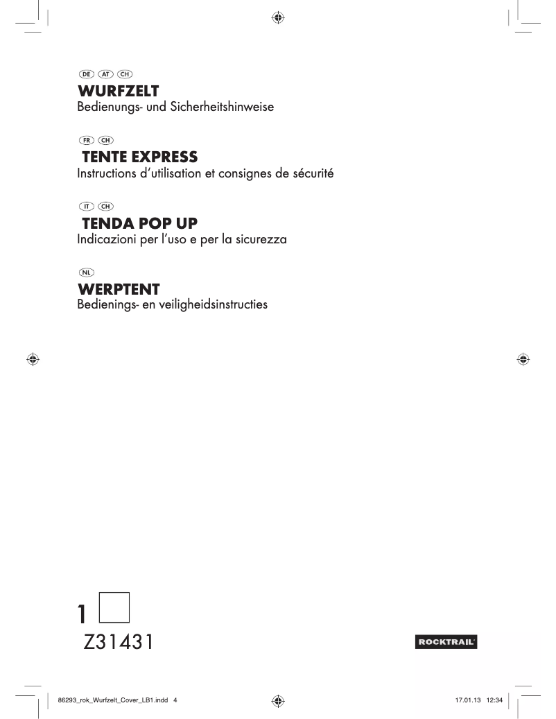 First page image of the manual for Z31431