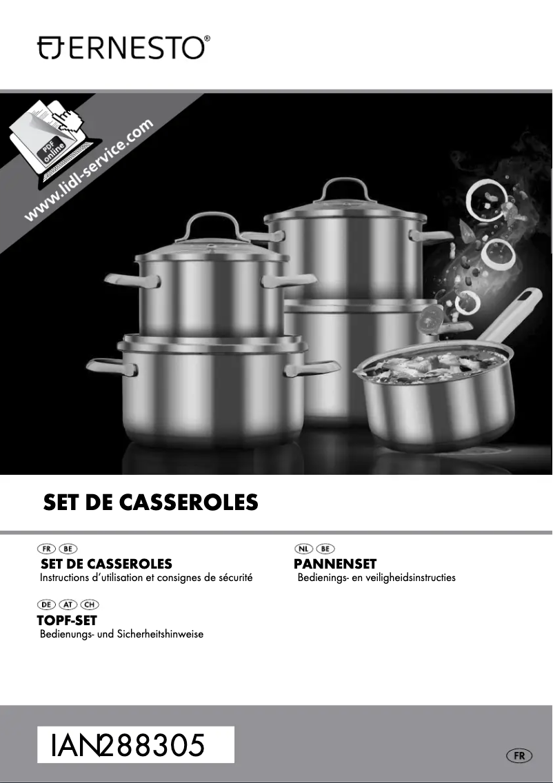 Page 1 of the manual User Manual Ernesto IAN 100804