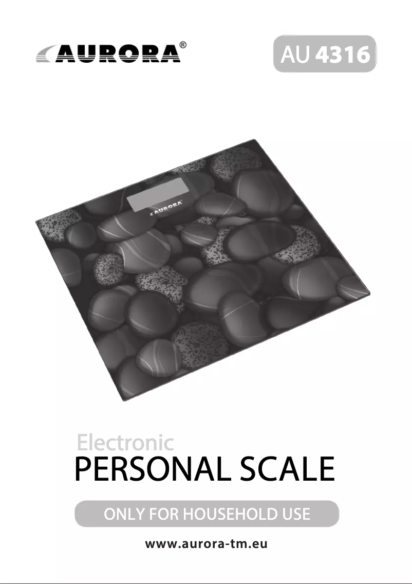 First page image of the manual for AU4316