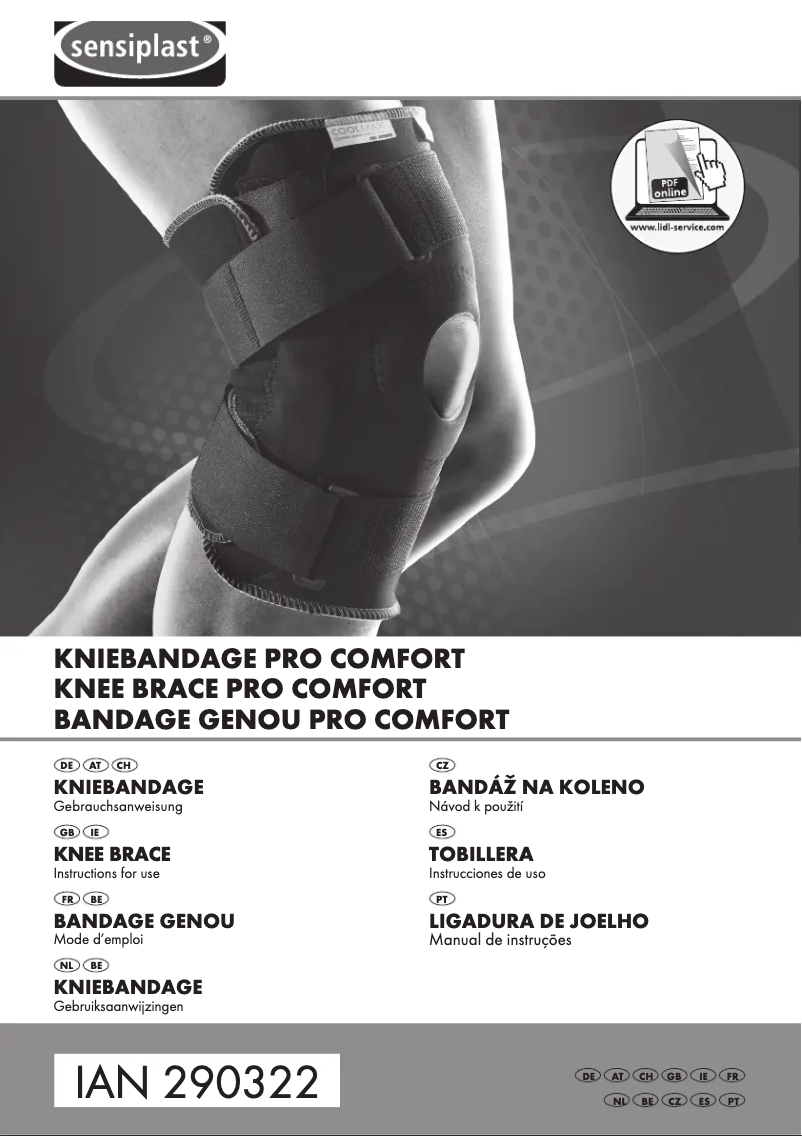 First page image of the manual for IAN 290322