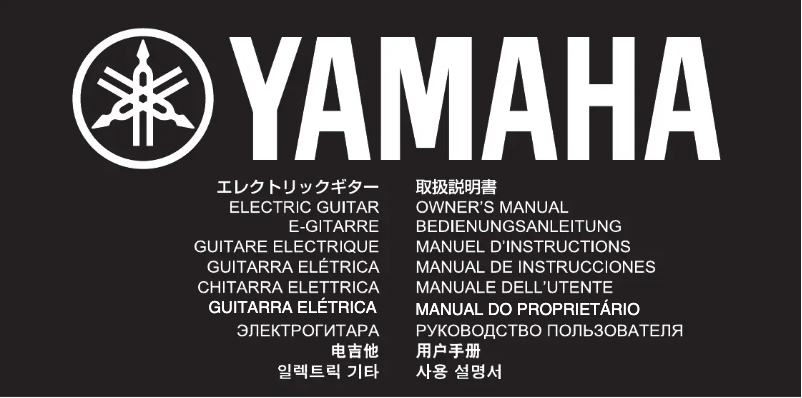 Page 1 of the manual User Manual Yamaha RS420