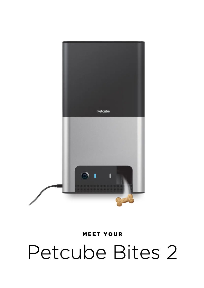 Page 1 of the manual User Manual Petcube Bites 2 Lite