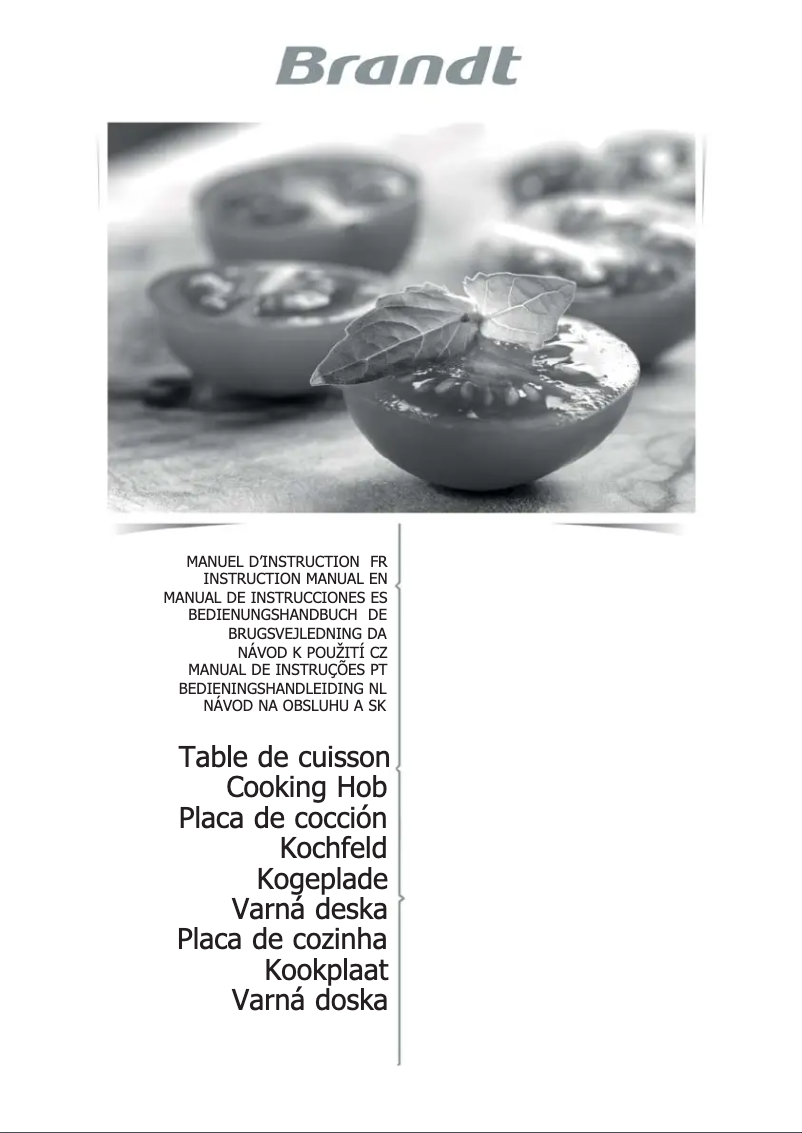 Page 1 of the manual User Manual Brandt BPI6230BL