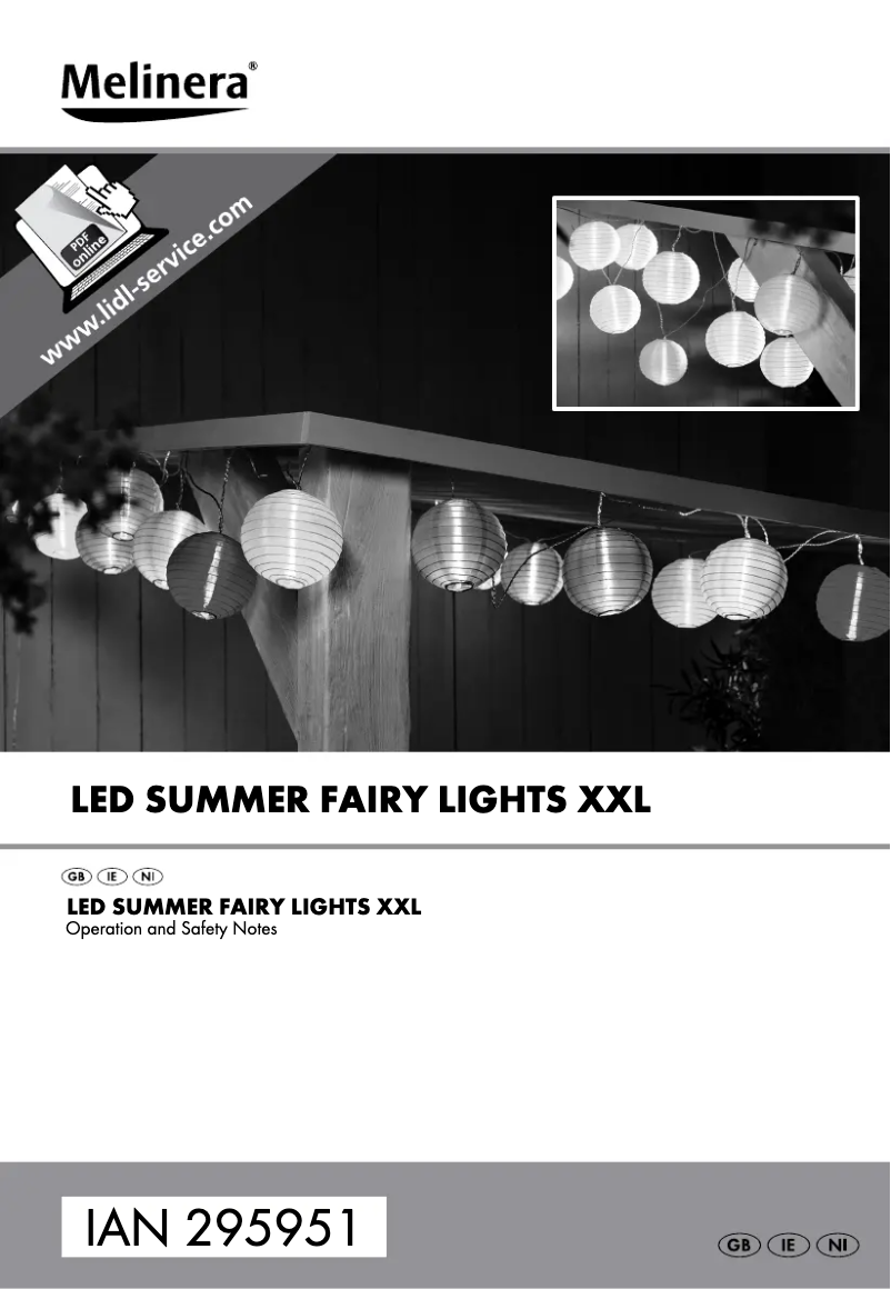 First page image of the manual for IAN 295951