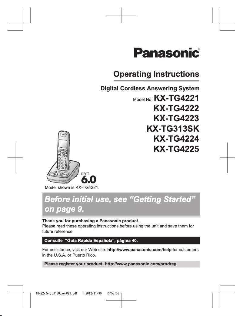 Page 1 of the manual User Manual Panasonic KX-TG313SK