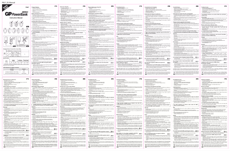 First page image of the manual for PowerBank 202160