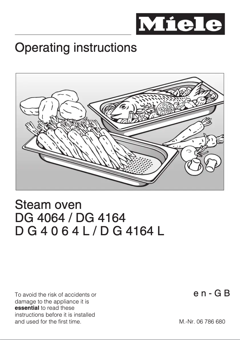 First page image of the manual for DG 4064 L