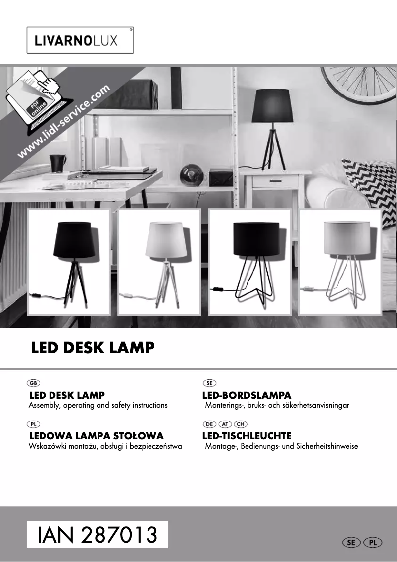 First page image of the manual for IAN 287013