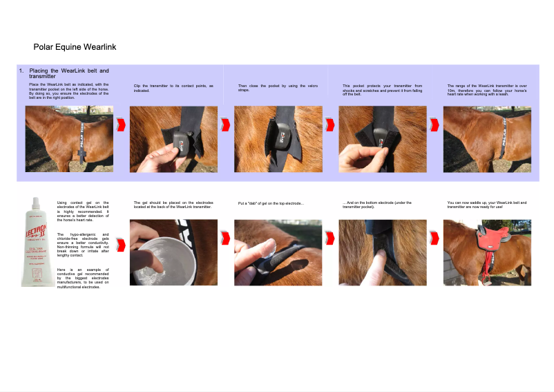 Page 1 of the manual User Manual Polar Equine Wearlink 