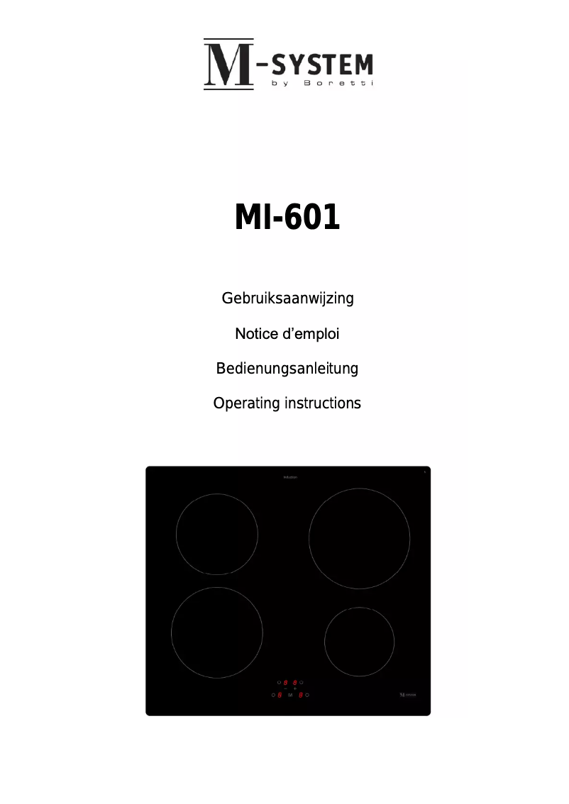 Page 1 of the manual User Manual M-System MI-601
