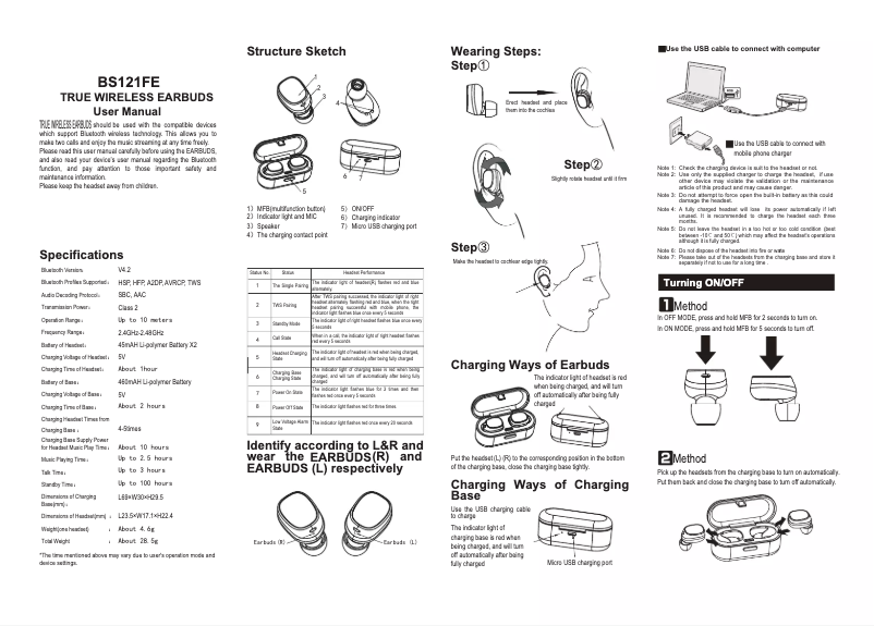 Page 1 of the manual User Manual Swingson BS121FE