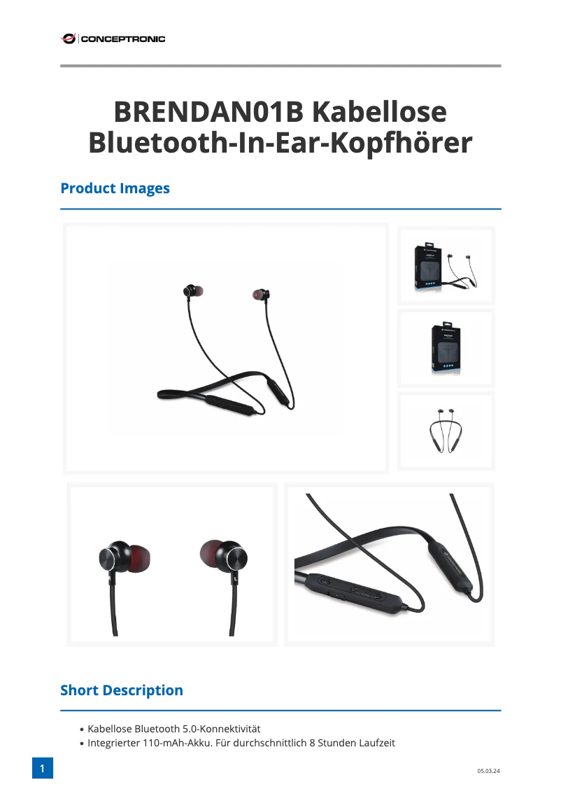 First page image of the manual for BRENDAN01B