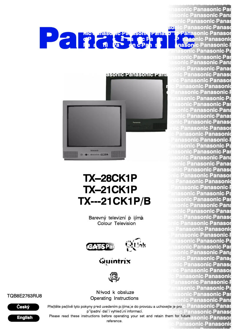 Page 1 of the manual User Manual Panasonic TX-21CK1P