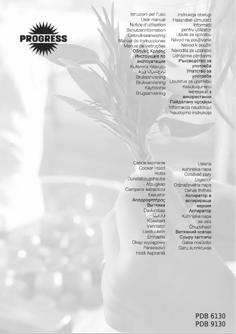 First page image of the manual for PDB6130E