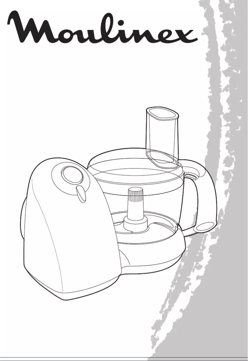 Page 1 of the manual User Manual Moulinex DFB341
