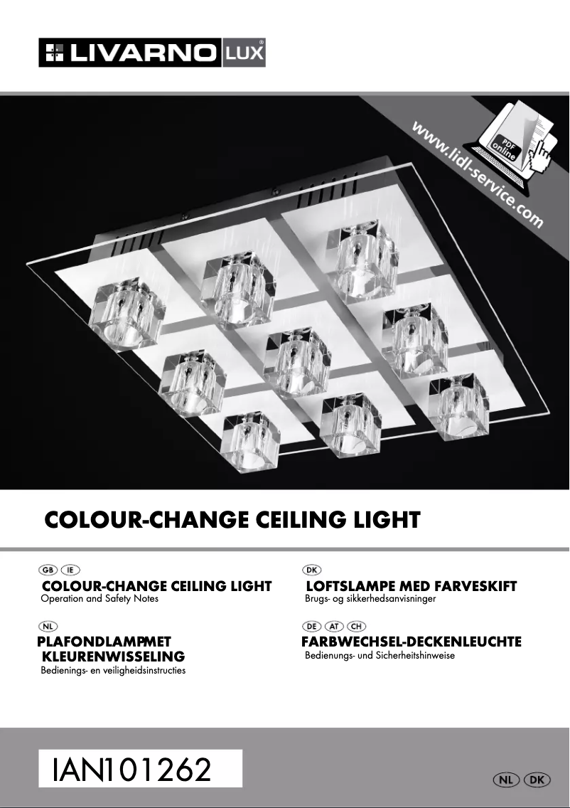 First page image of the manual for IAN 101262