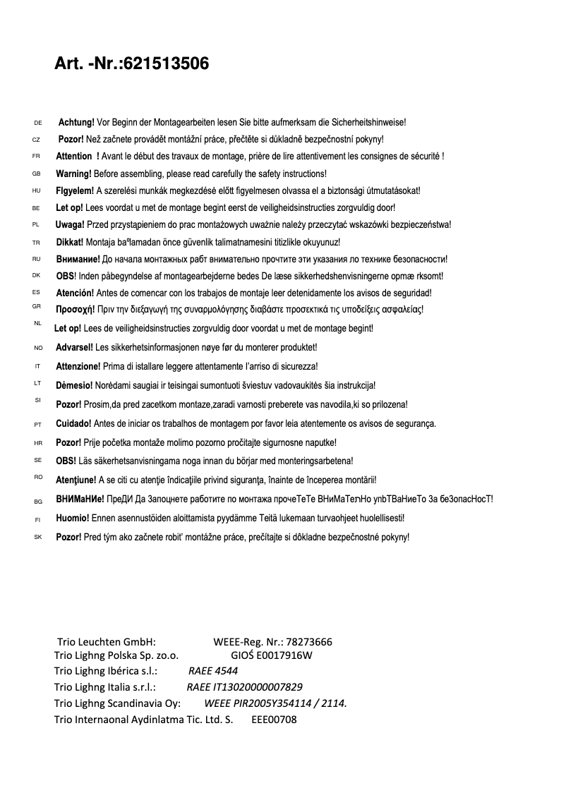 Page 1 of the manual User Manual Trio Lighting Torino 621513506