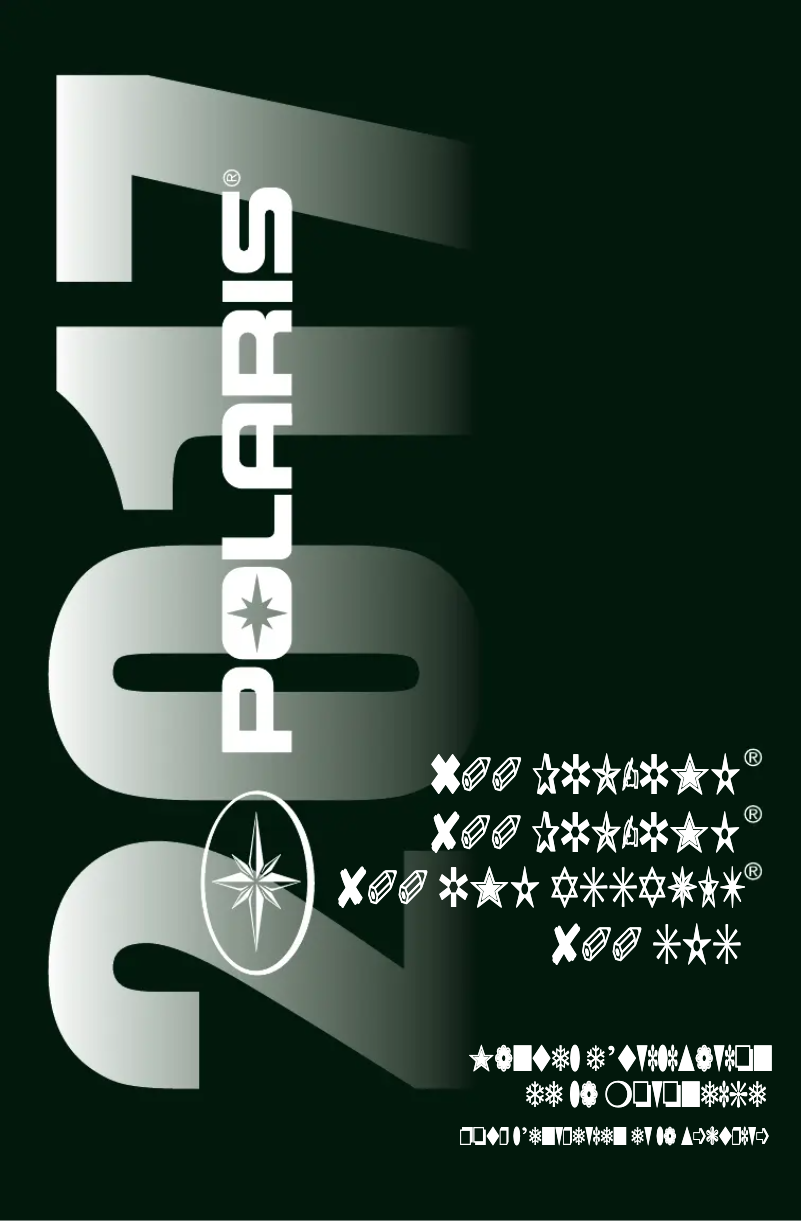 First page image of the manual for 800 Pro-RMK 163 (2017)