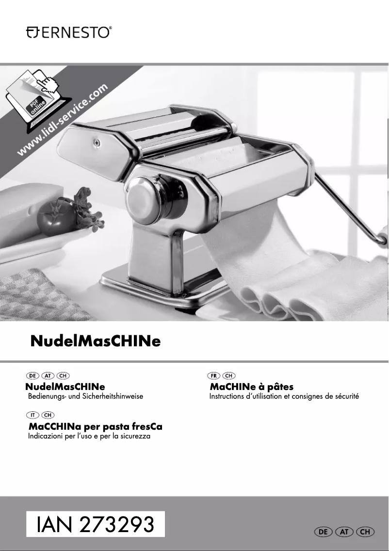 Page 1 of the manual User Manual Ernesto IAN 273293