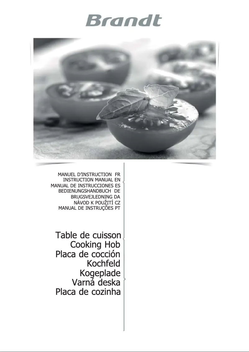 Page 1 of the manual User Manual Brandt BPI6420X