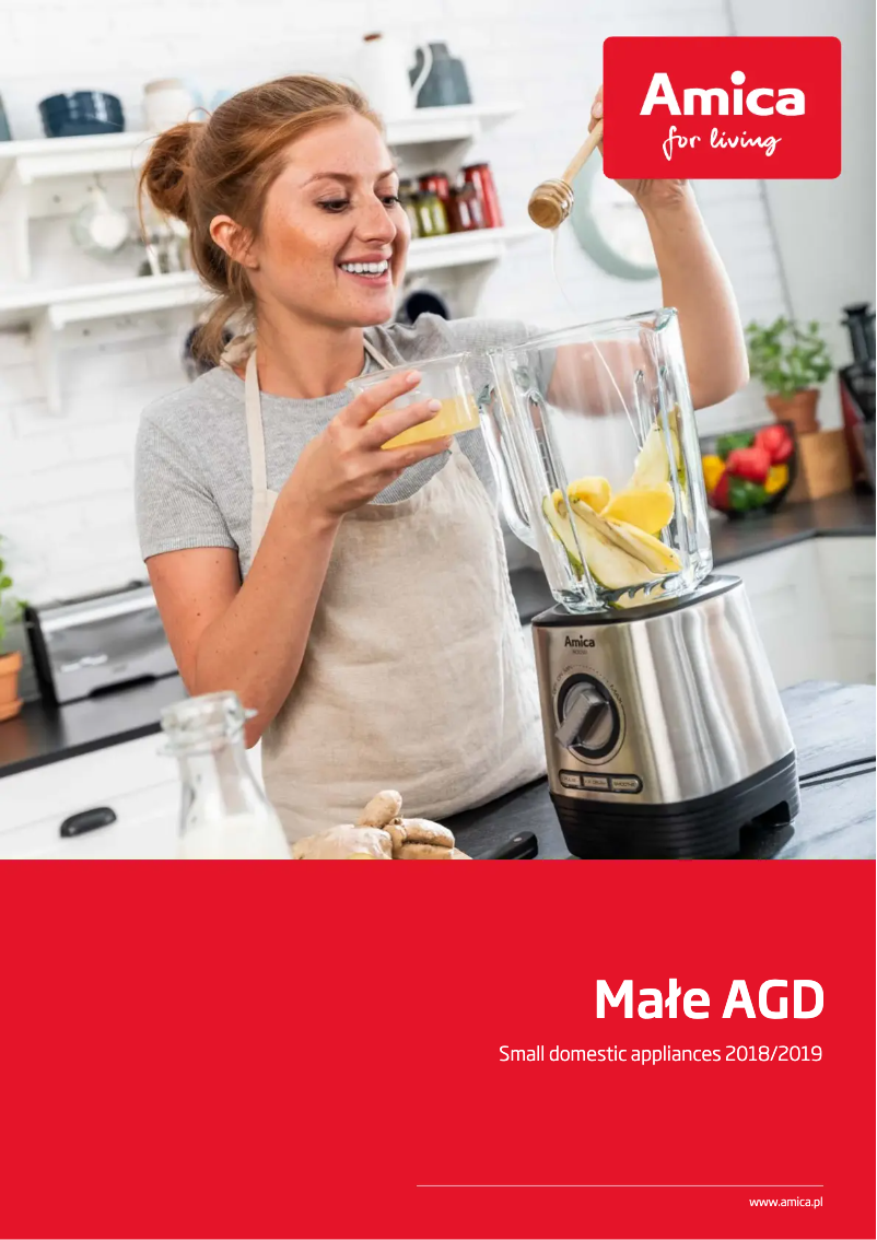 Page 1 of the manual User Manual Amica BTK3012