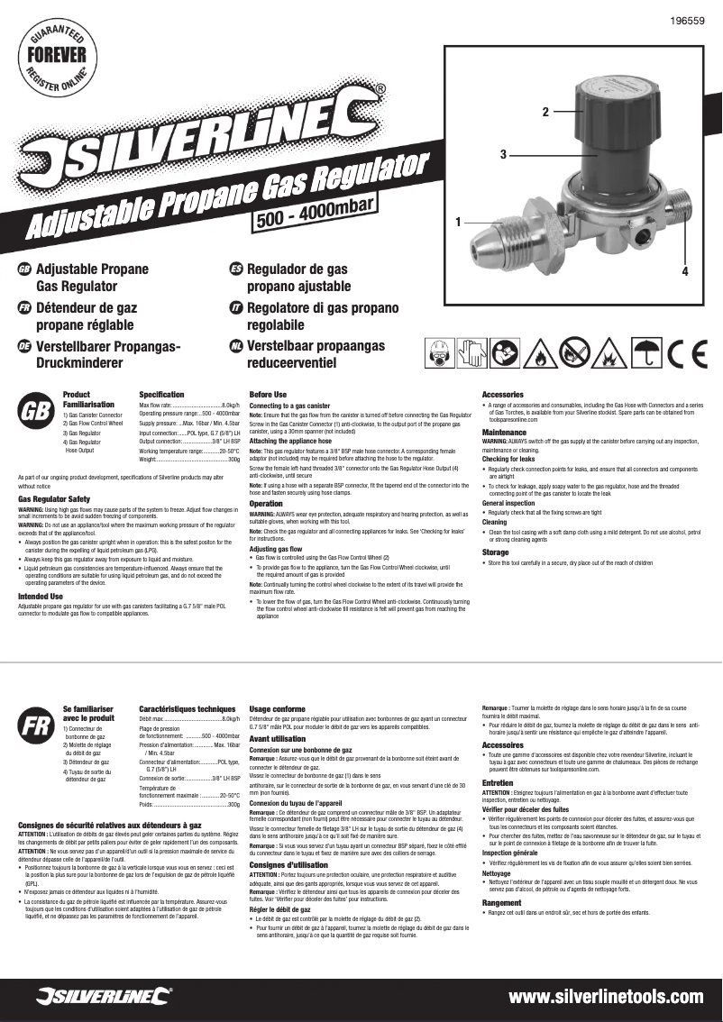 Page 1 of the manual User Manual Silverline 196559