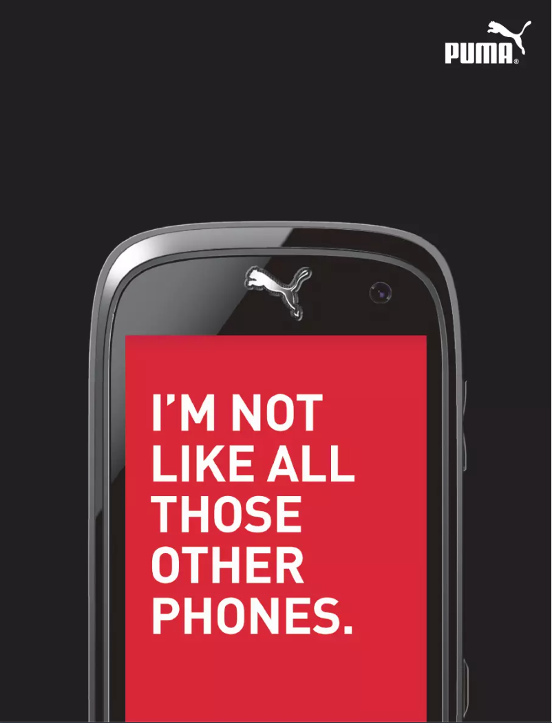 First page image of the manual for Puma