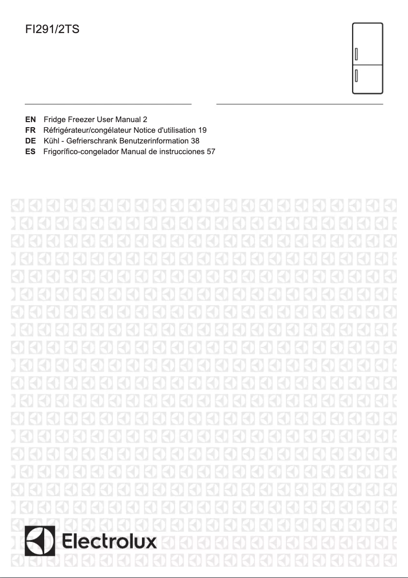 First page image of the manual for FI291/2TS