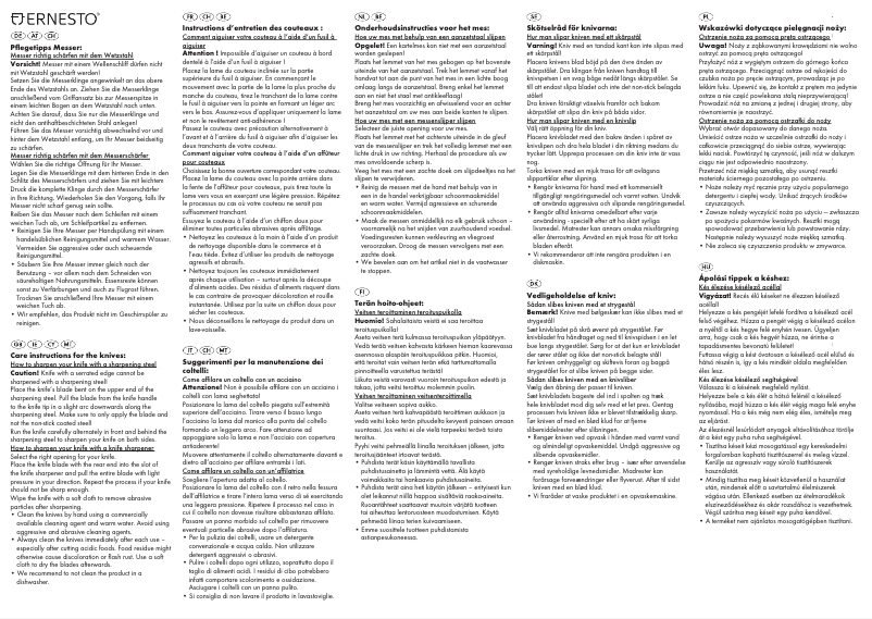 Page 1 of the manual User Manual Ernesto IAN 276811