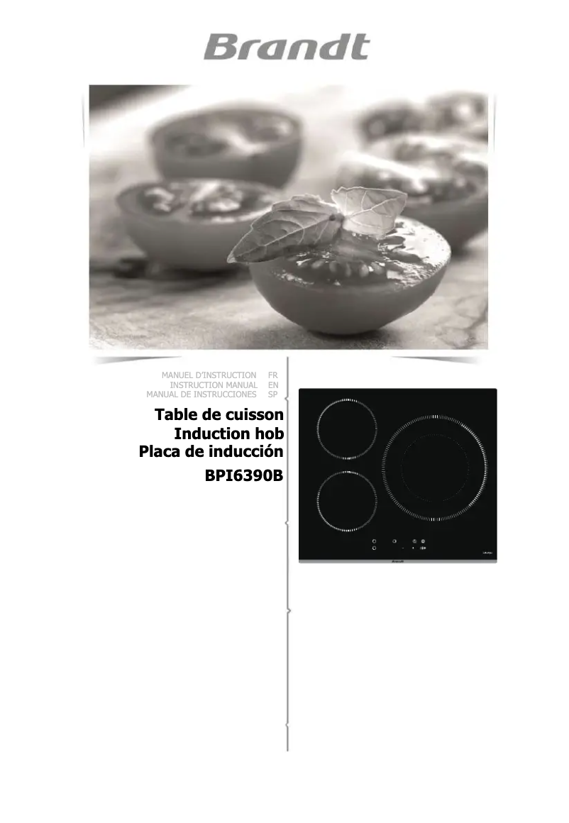 First page image of the manual for BPI6390B